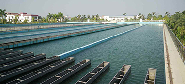 近10年 我國有哪些水廠實現(xiàn)了“智慧化”？